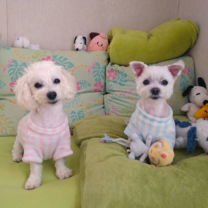 7e371774 2e09 4a5d a6be 8c8d22572387