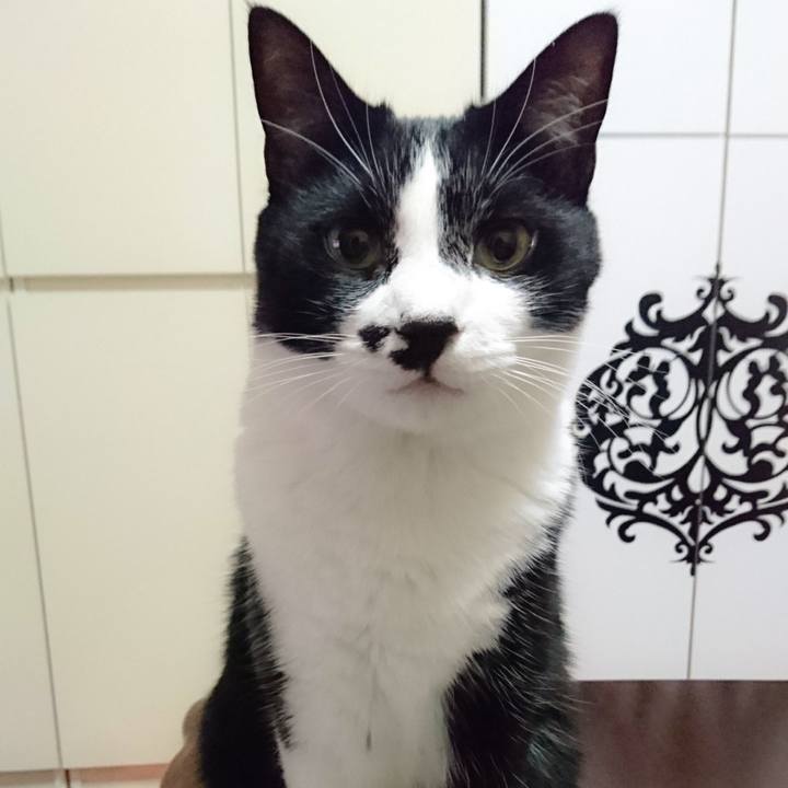 7e37a2f3 7c5f 4256 813e 4b67820434b7