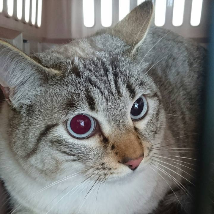 7e37a7b0 6246 4d73 b964 942b5127d1d3