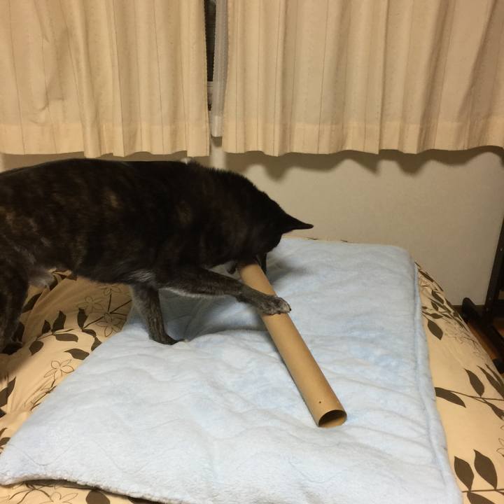 7e37f733 ed96 4df7 a49f c622b013dd7b