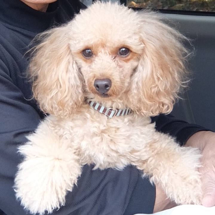 7e388582 63bd 4ea9 9f95 1b4fec38a16c