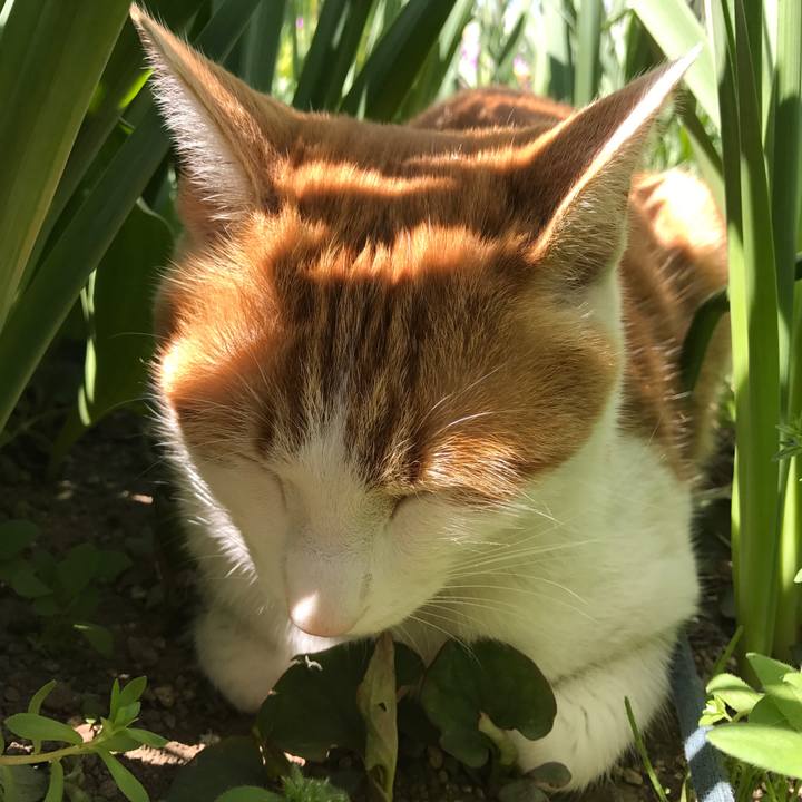 7e39099b b6e9 4ba9 89d8 a19227f304d4