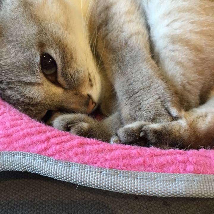 7e3955e6 1547 40e9 b095 4885891a1d0e