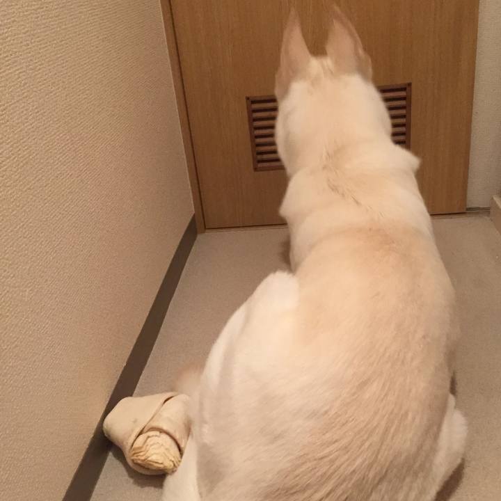 7e39953f 673d 4db9 8e27 4e7cacb54584