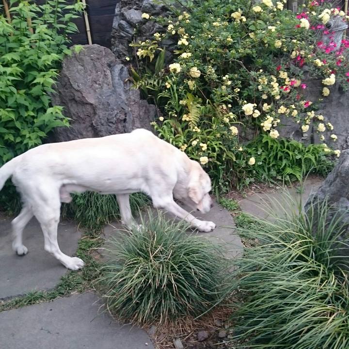 7e3a4190 d2c6 457e 9d61 3f12285b2617