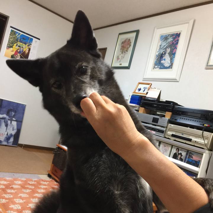 7e3aad24 8ec2 418a ade1 189da89bd7e4