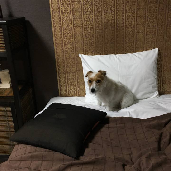 7e3b4193 a13d 484e ac6e 72f357a904a8