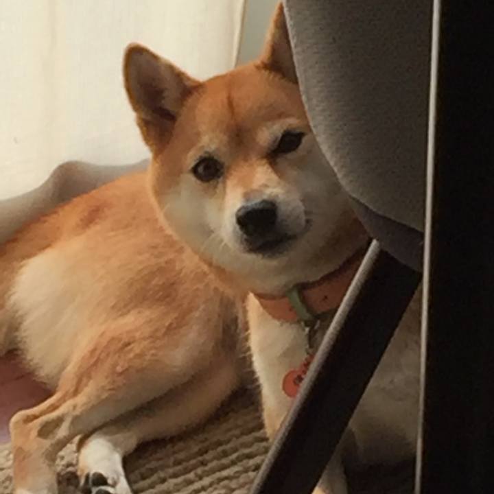 7e3c34b0 a973 4b44 a1b6 1aff3f15e731