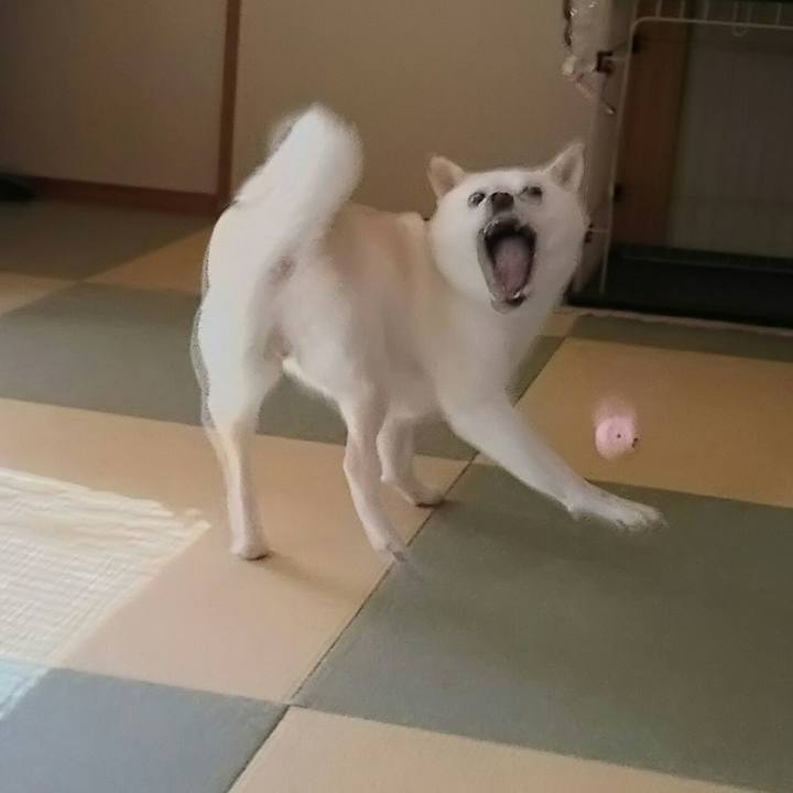 7e3c5e02 e595 4d06 8419 436696a82c4e