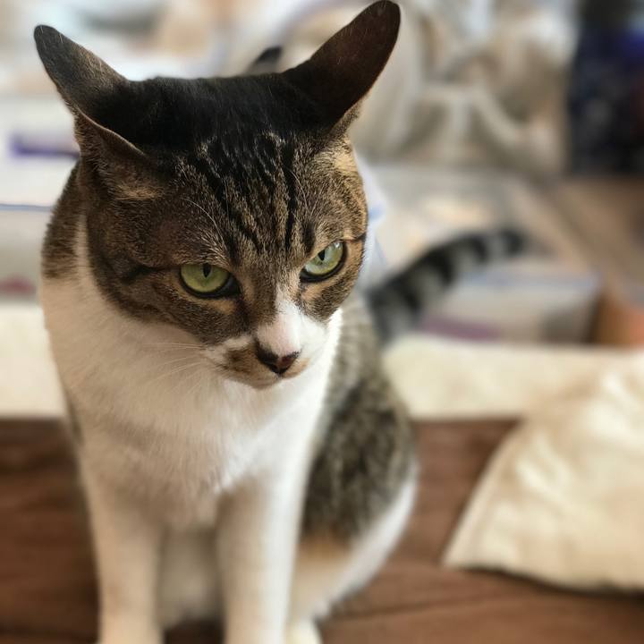 7e3c6e4d 6de2 47aa 96af b3579a7c657d