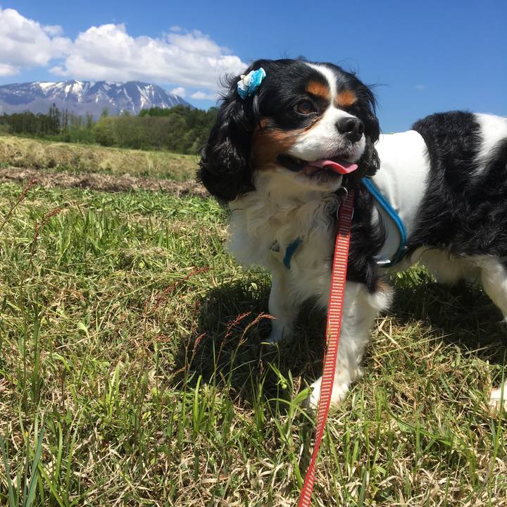 7e3cccd7 ba5c 4273 a9f8 4f94cfb1c4fe