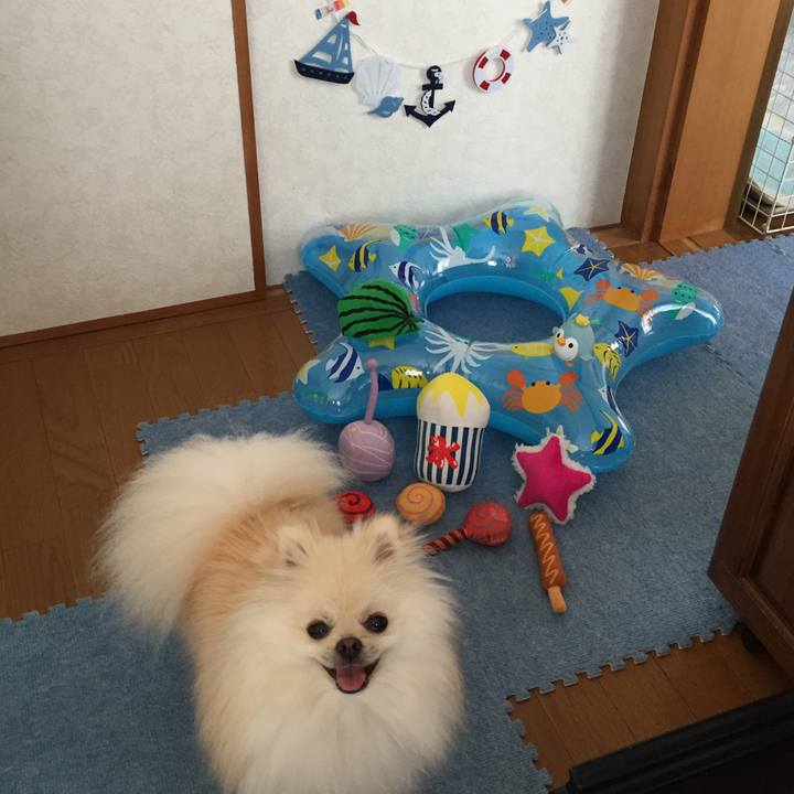 7e3cf42b 6b46 4587 8141 8654d5741e3c