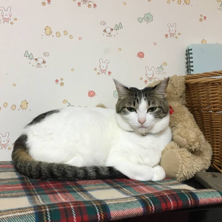 7e3d0f57 b4e9 4667 aa63 9c71542806e4