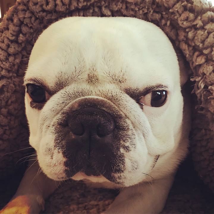 7e3d6080 02a5 4014 9777 25a6854e362f