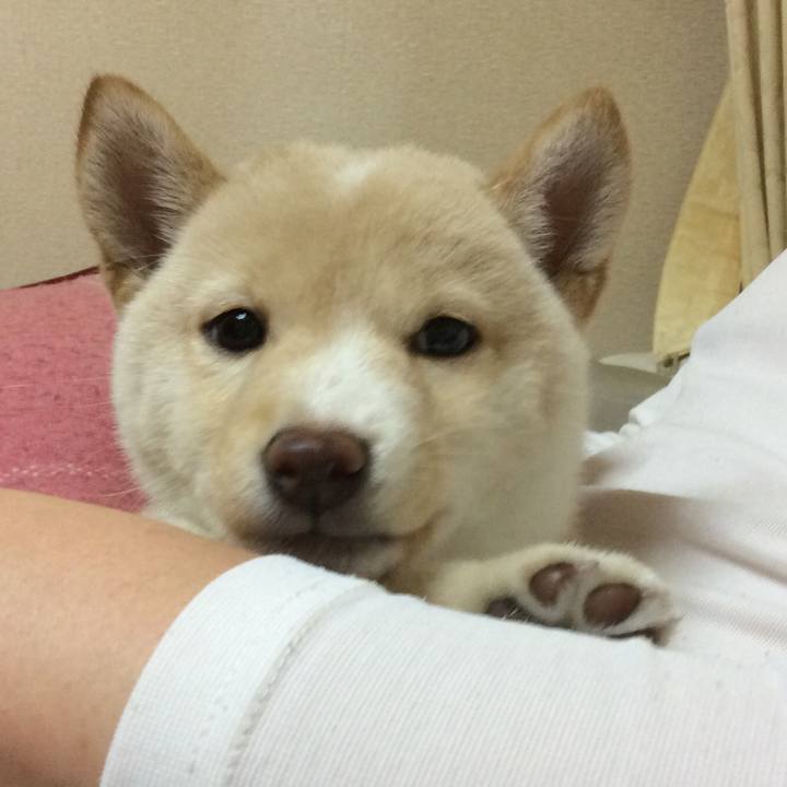 7e3d6971 afdf 4933 8a82 2a9791710615