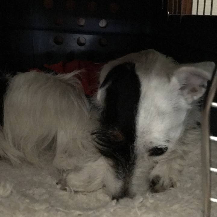 7e3def0f 797c 41ac ae41 13da1709a629