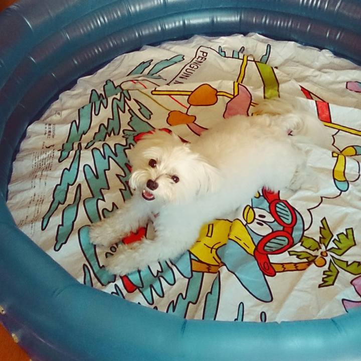 7e3e3d47 2b63 4afc a557 5cf195cb52d6