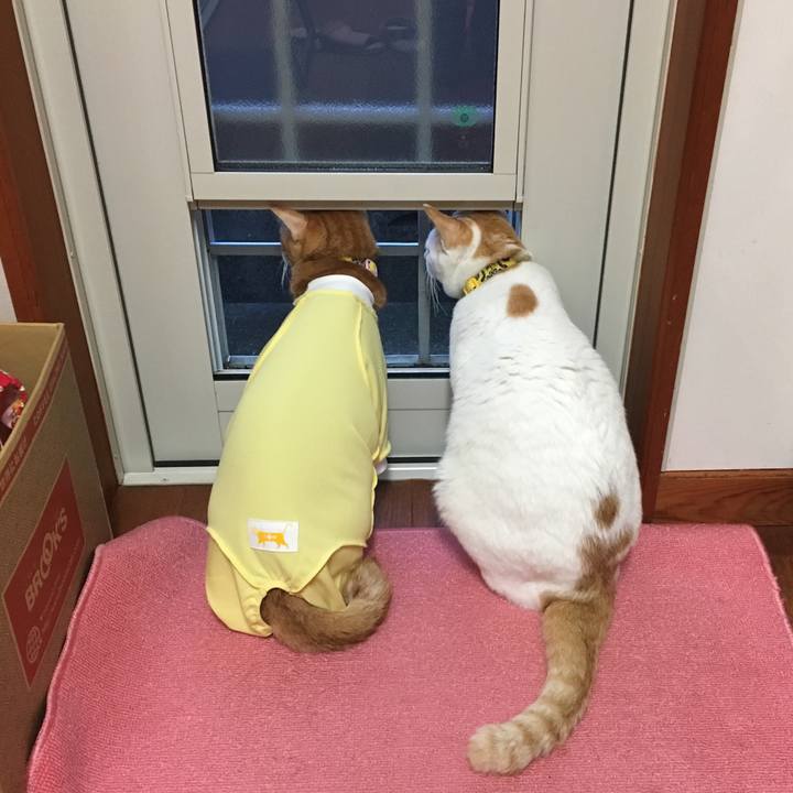 7e3fbe56 210e 4e85 a163 c927765d6840