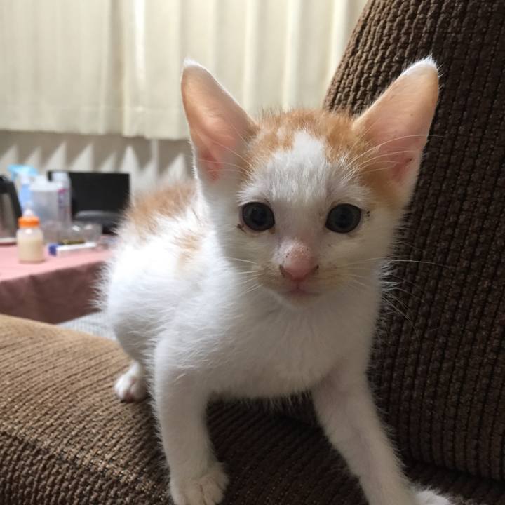 7e3fbf93 79b5 4c1d acbd b8f34231a1a6