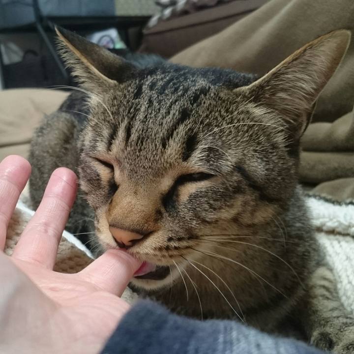 7e3fe23a 90e6 4946 83d6 b3b4a6aeb59a