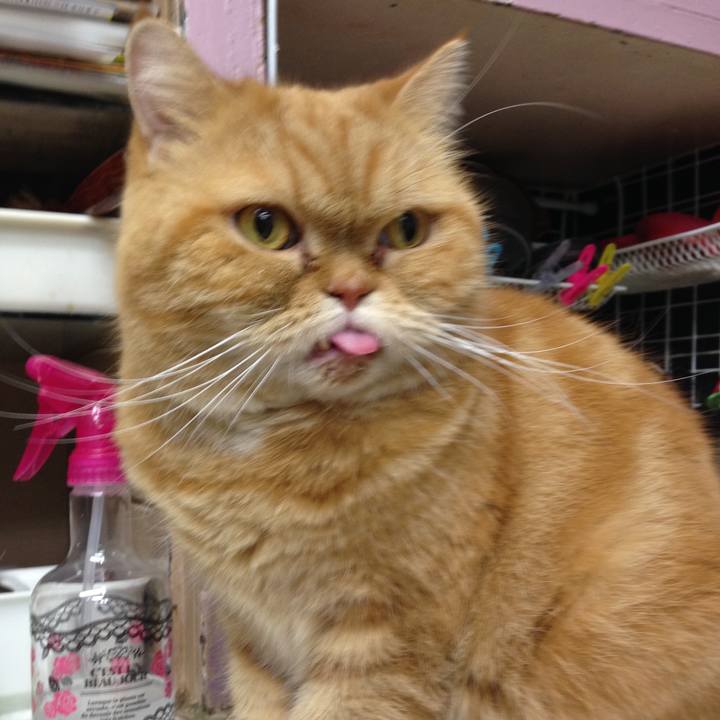 7e3fe460 13ba 4e47 baf8 0a306c0ac09e