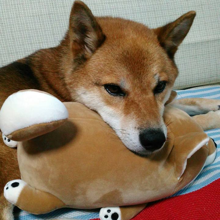 7e400eb5 2721 4fbc 9efc 9f0bcb3139fe