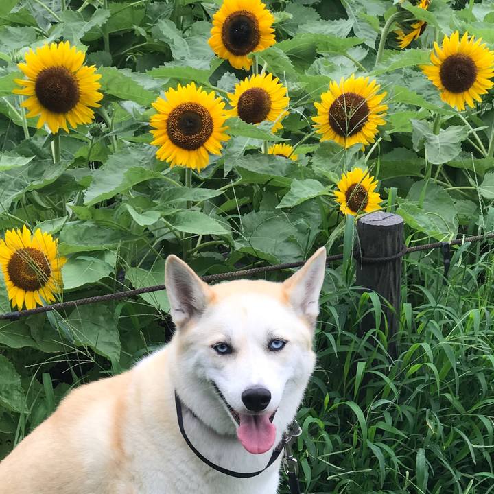 7e401818 8b5b 4a8d 9355 68bd74bfa78c