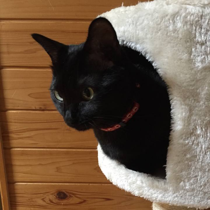 7e4020fc 0278 4bd2 9c5b 7b4df03ca88d