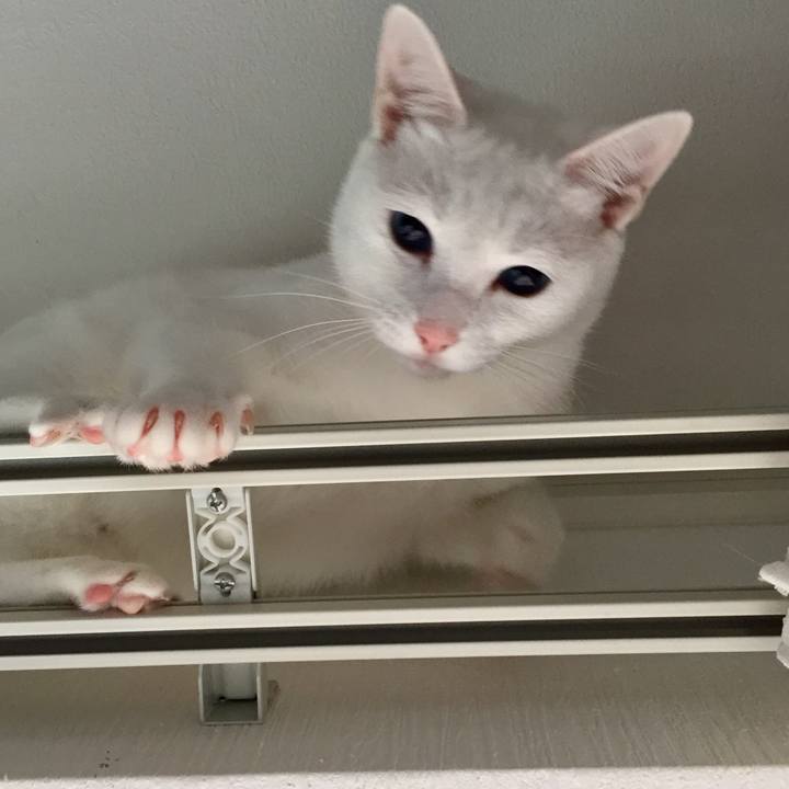 7e402752 023a 4c20 b731 ba21dd4e3434