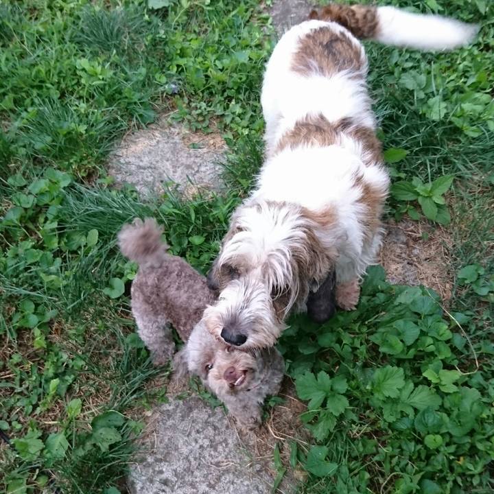 7e40717e 3fc7 4326 a345 aa4ccad0bebf