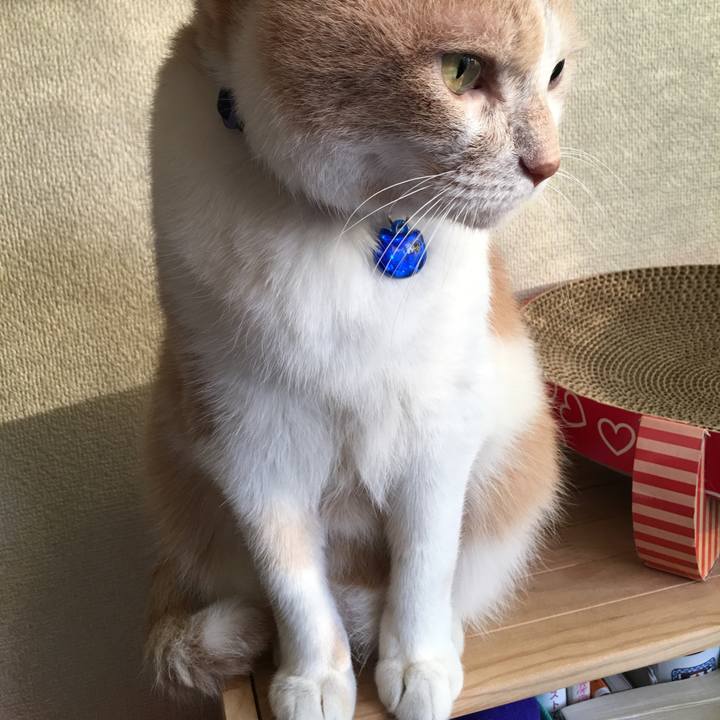 7e413066 e882 49e2 bcb0 bf2b772468e3