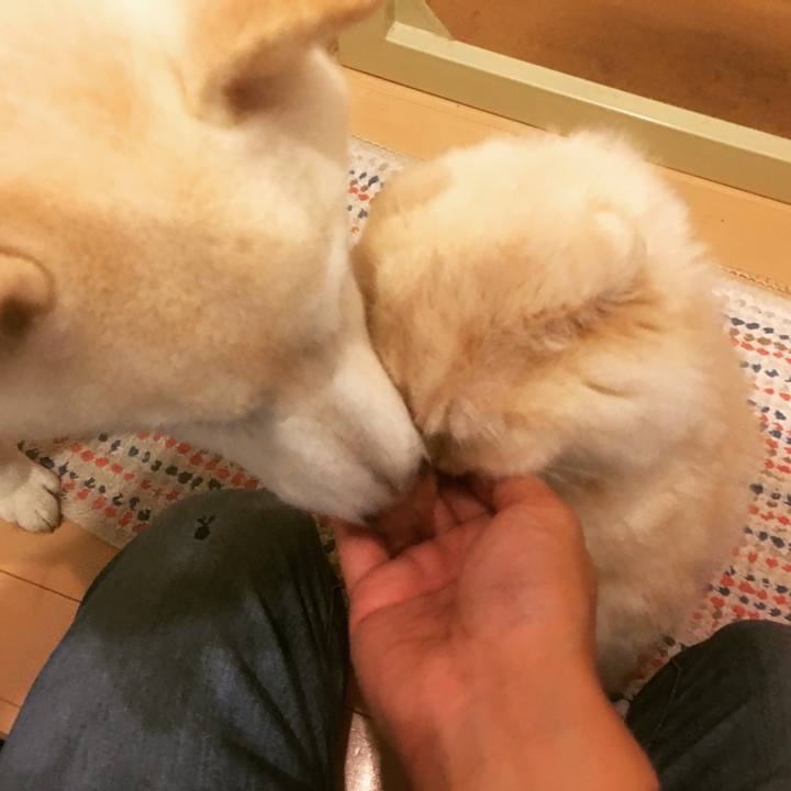 7e418dc7 f20c 4da3 a7e7 f9ff72d649b4