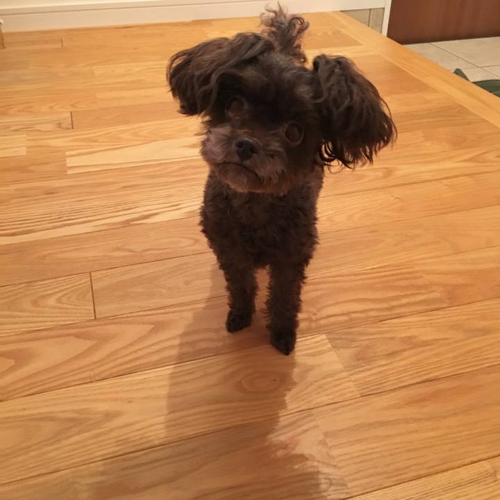 7e419cd2 702d 4c3c 87b1 c1c66247394b