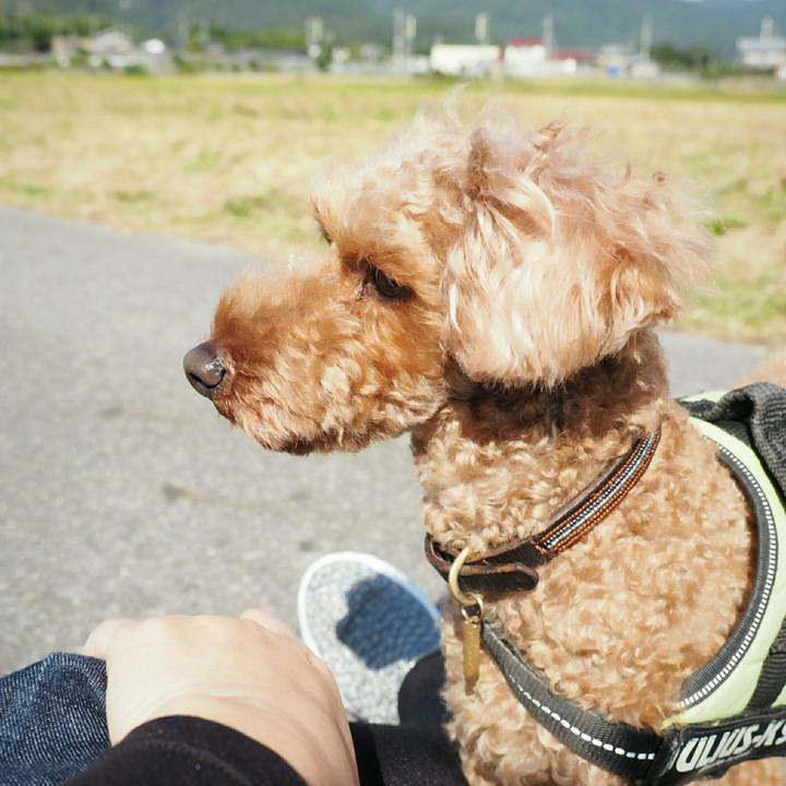 7e41d0ad 93fd 418e 8aca d17d74c0b533