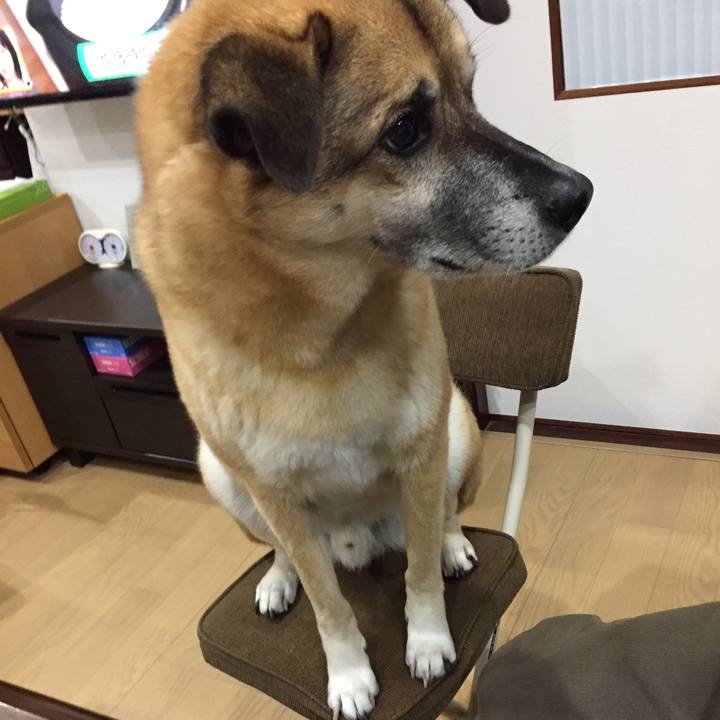 7e429117 8025 4ca6 a542 4182eee655bb