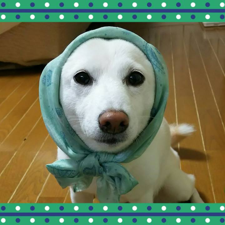 7e42bd6b 5304 4e5b a25d 8123e32d8833