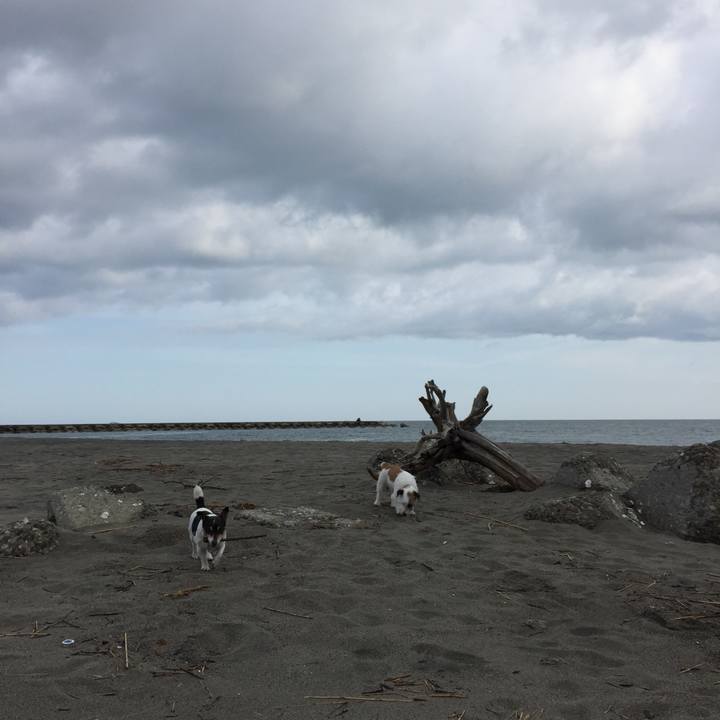 7e431bfb b237 422f a4d3 7e181bc0fcab