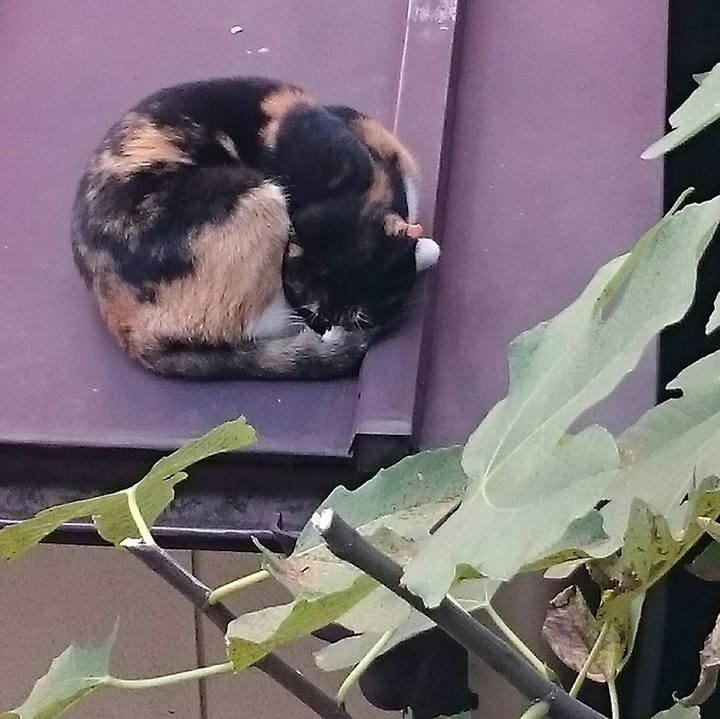 7e437224 035b 49e3 9b14 b7295d16e6ba