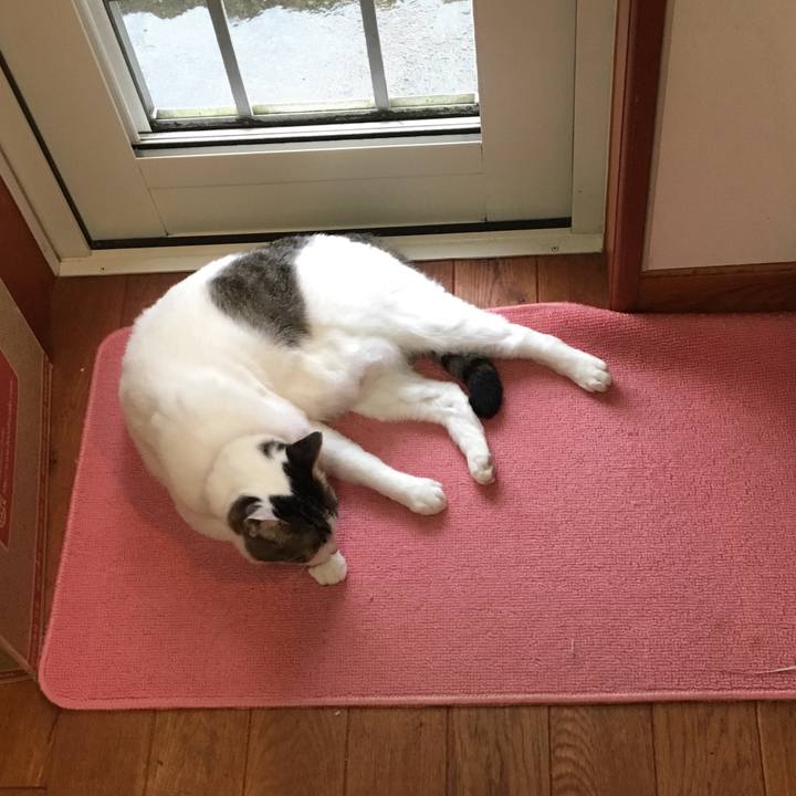 7e446a2f a880 416c 9827 4c7ac36727fe