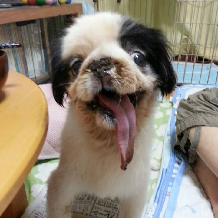 7e44f1a5 43b2 4138 a9b4 a30c99392887