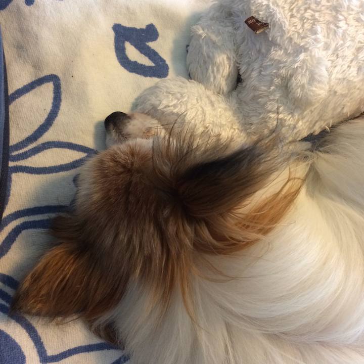 7e45ce17 6a43 4432 beb0 7e68be323f08