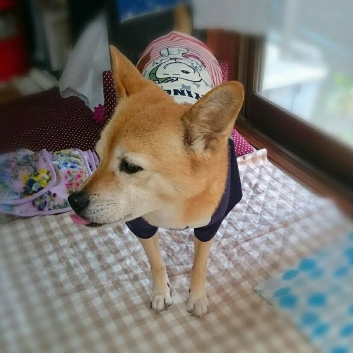 7e46b3cd 716d 4a43 9098 2447c5e56c6e