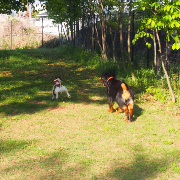 7e46c281 9bf7 48ae 9b28 d2da5bfe2f9f