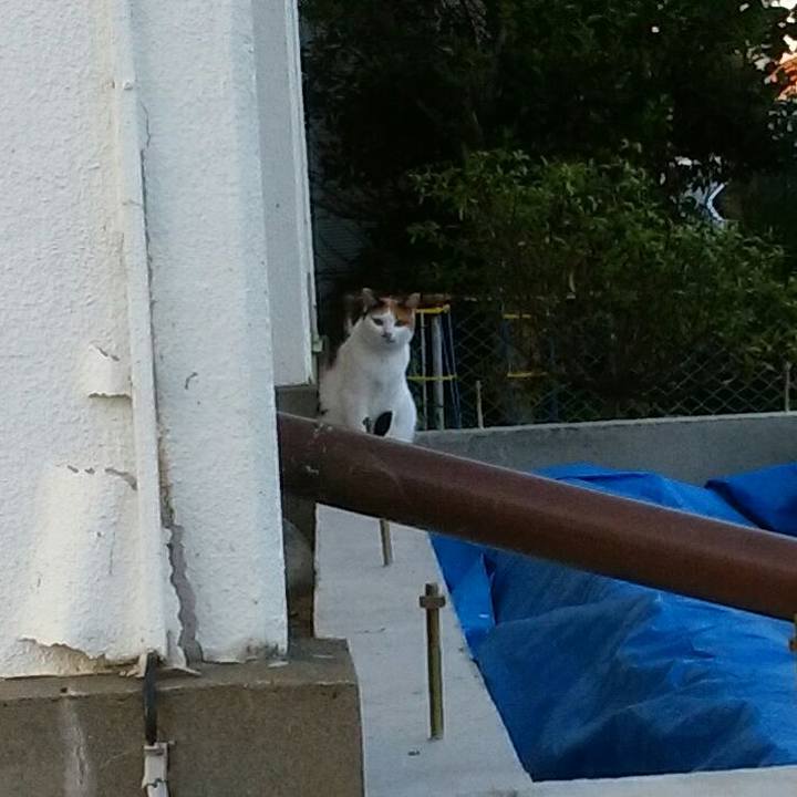 7e4714f7 fba7 484c a081 0fa93c060a02