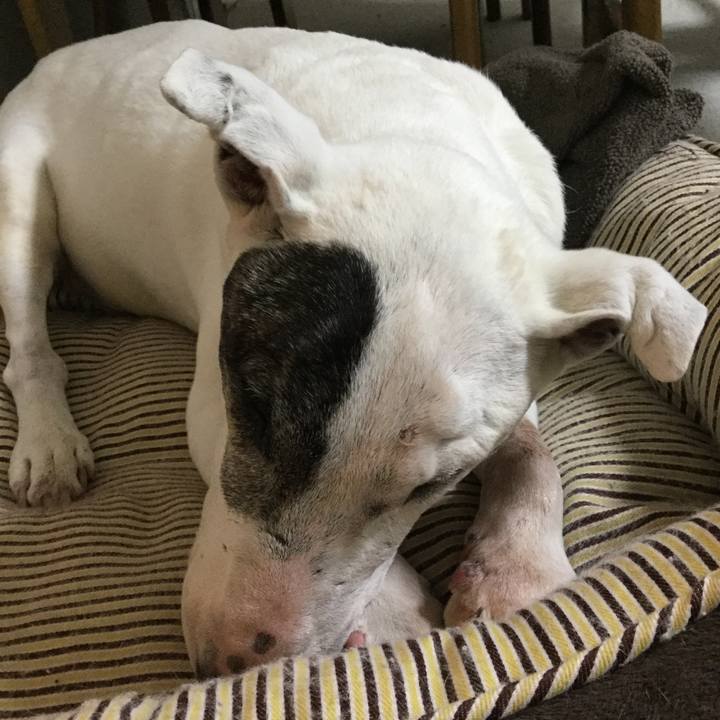 7e473a47 b8b6 4783 b8f4 6300901c8c19