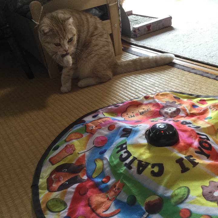 7e473c08 16c0 42bd a378 806c70d18663