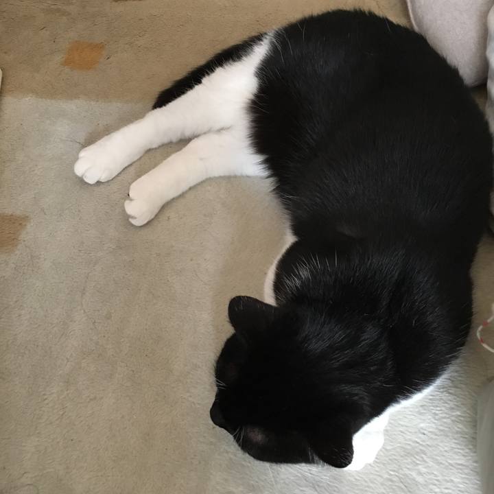 7e483899 a322 4d22 bfe4 c2432460a833