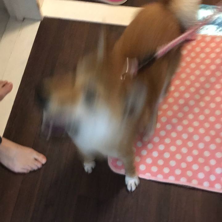 7e4854a5 e234 4fbf 9819 d2ce1d736327