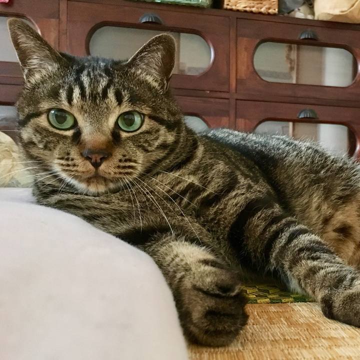 7e4a44b8 c86b 4e38 8063 19811694641d