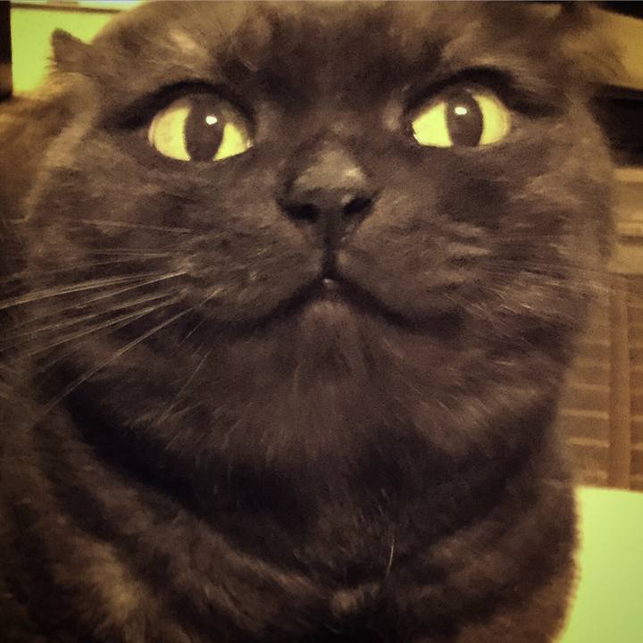 7e4abe64 396d 41f3 ab91 70ee111b28a5